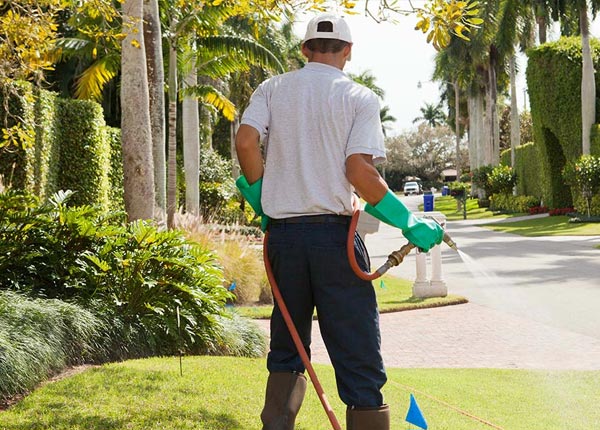 About Yukon PA Pest Control